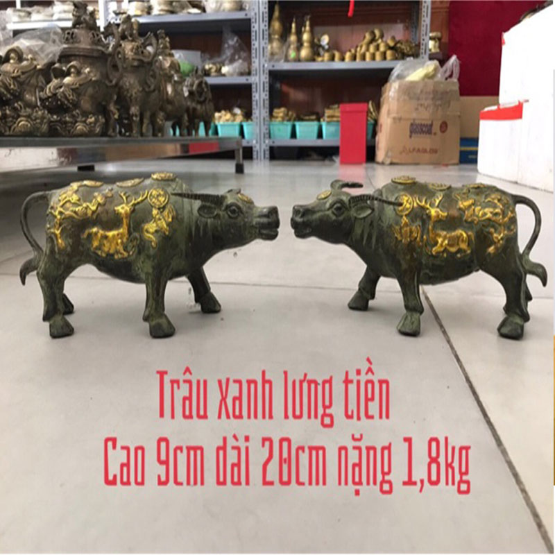 Cặp Trâu Lưng Tiền Chiêu Tài