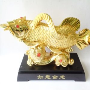 Cá Kim Long như ý
