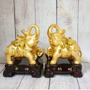 Song đế voi vàng lưng hồng châu