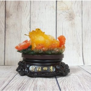 Thiềm thừ vàng ngọc lưu ly trên bụi mẫu đơn đa sắc đế gỗ xoay