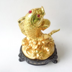 Cá đại dư đại lợi